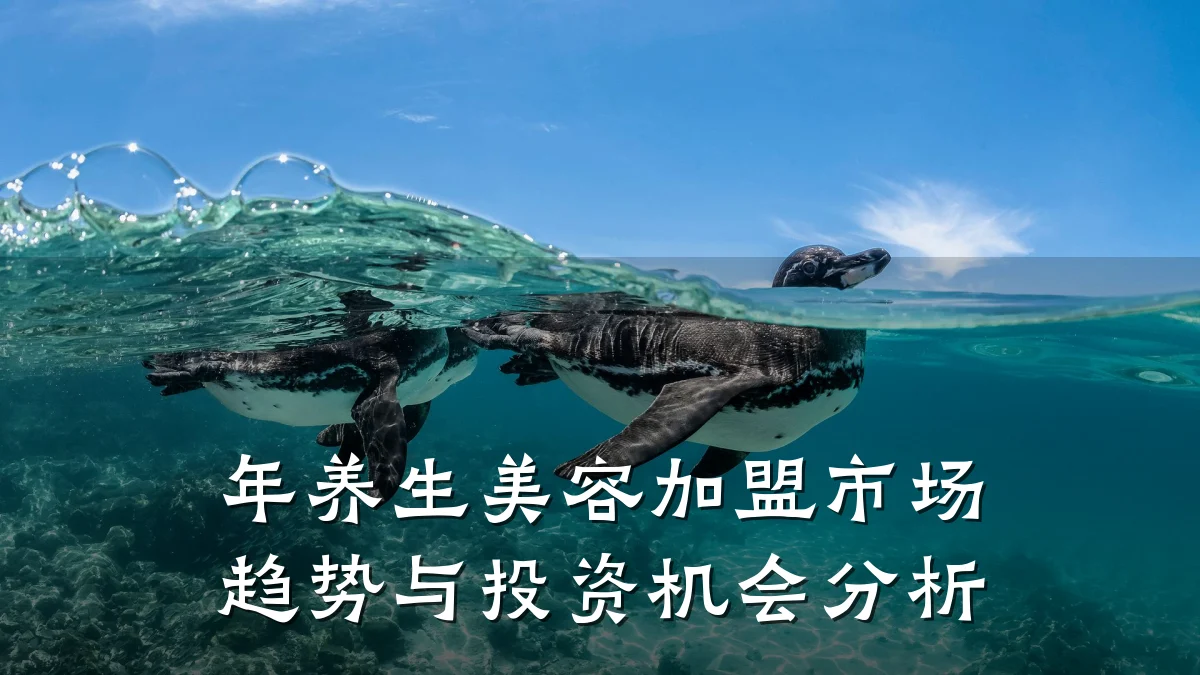 年养生美容加盟市场趋势与投资机会分析