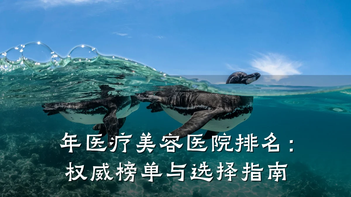 年医疗美容医院排名：权威榜单与选择指南