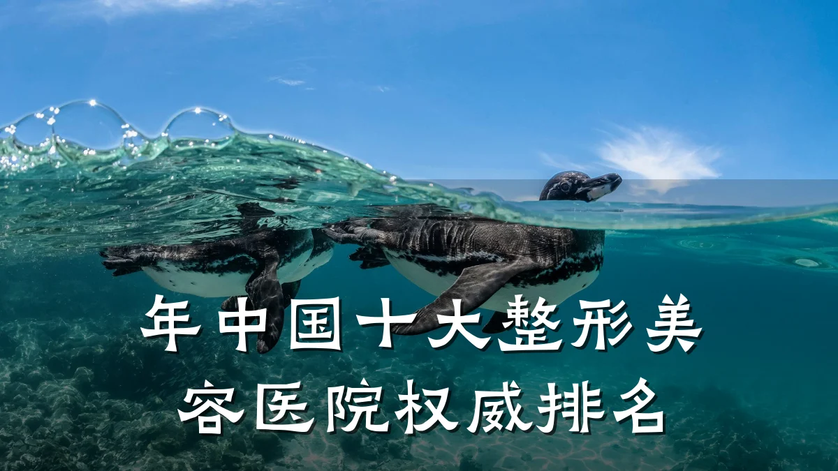 年中国十大整形美容医院权威排名