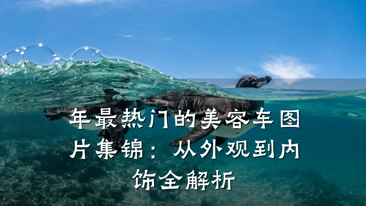 年最热门的美容车图片集锦:从外观到内饰全解析