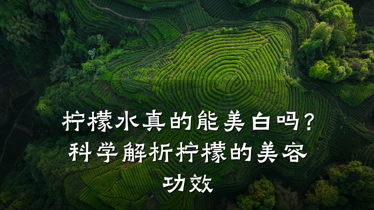 柠檬水真的能美白吗？科学解析柠檬的美容功效