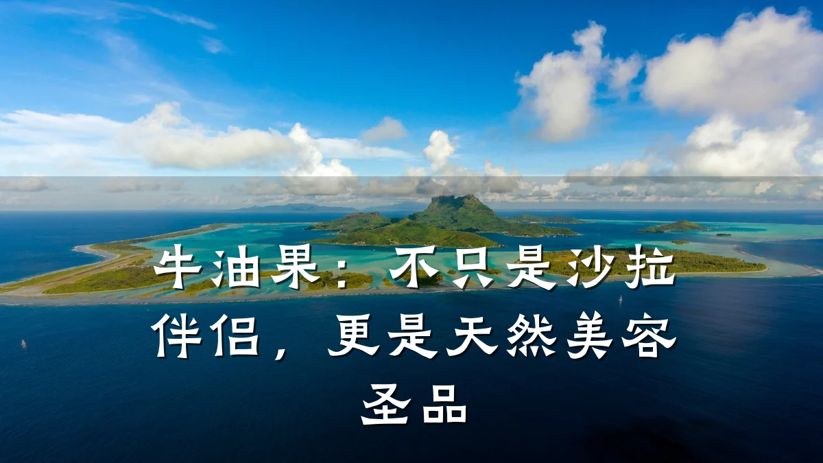 牛油果:不只是沙拉伴侣,更是天然美容圣品