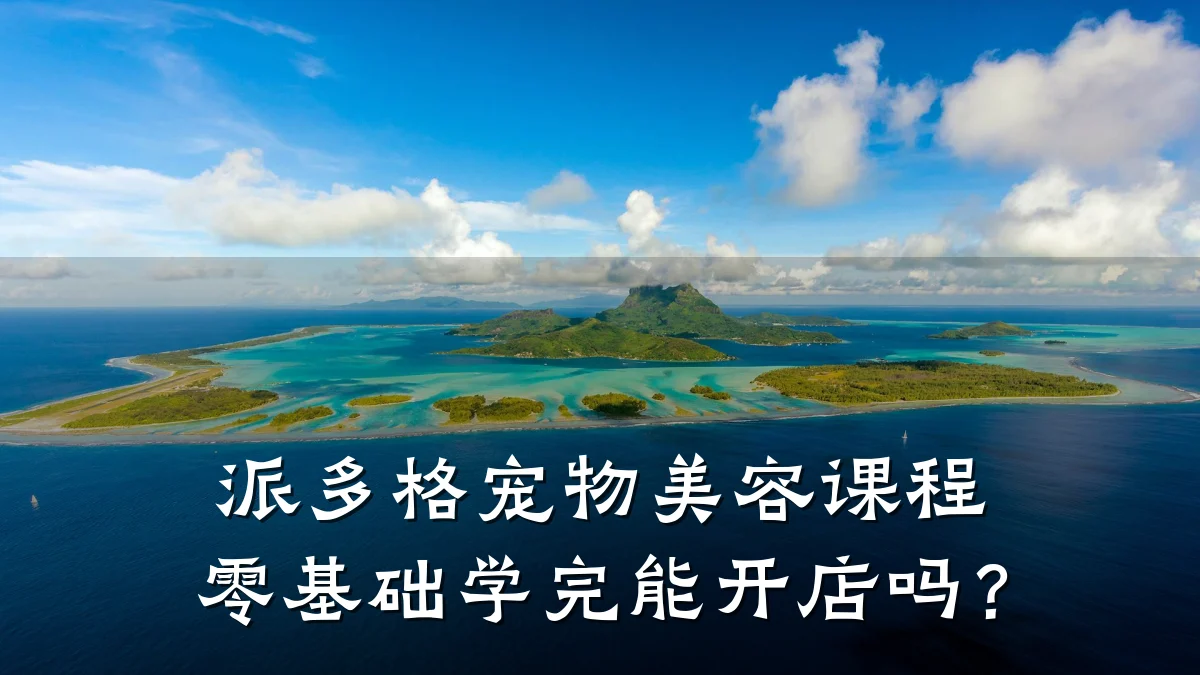 派多格宠物美容课程零基础学完能开店吗？