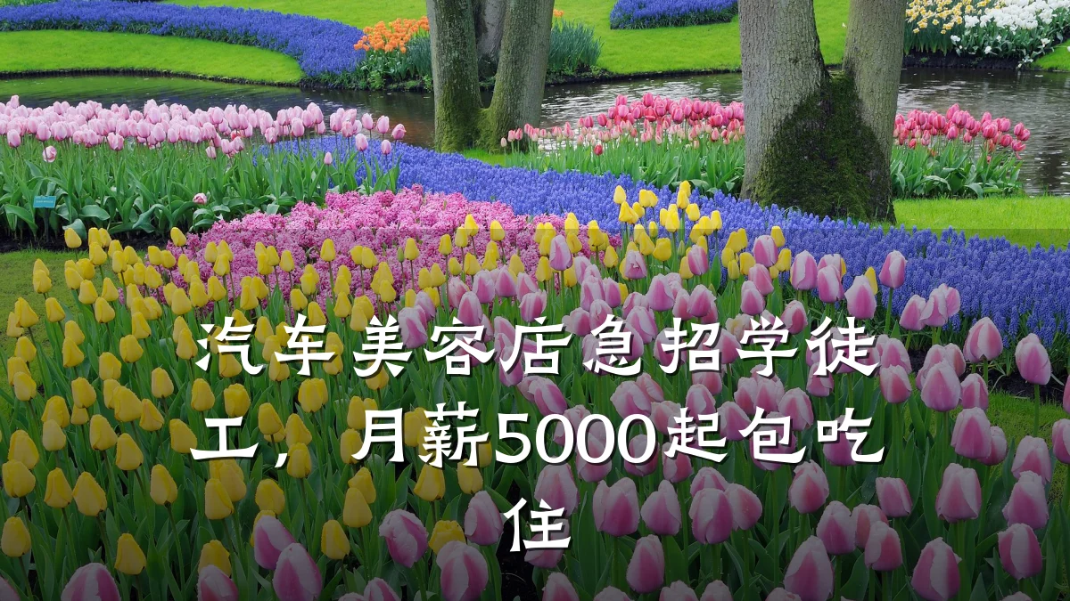 汽车美容店急招学徒工，月薪5000起包吃住