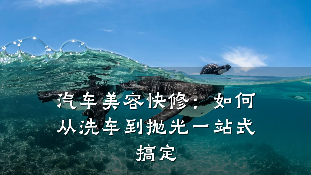 汽车美容快修:如何从洗车到抛光一站式搞定