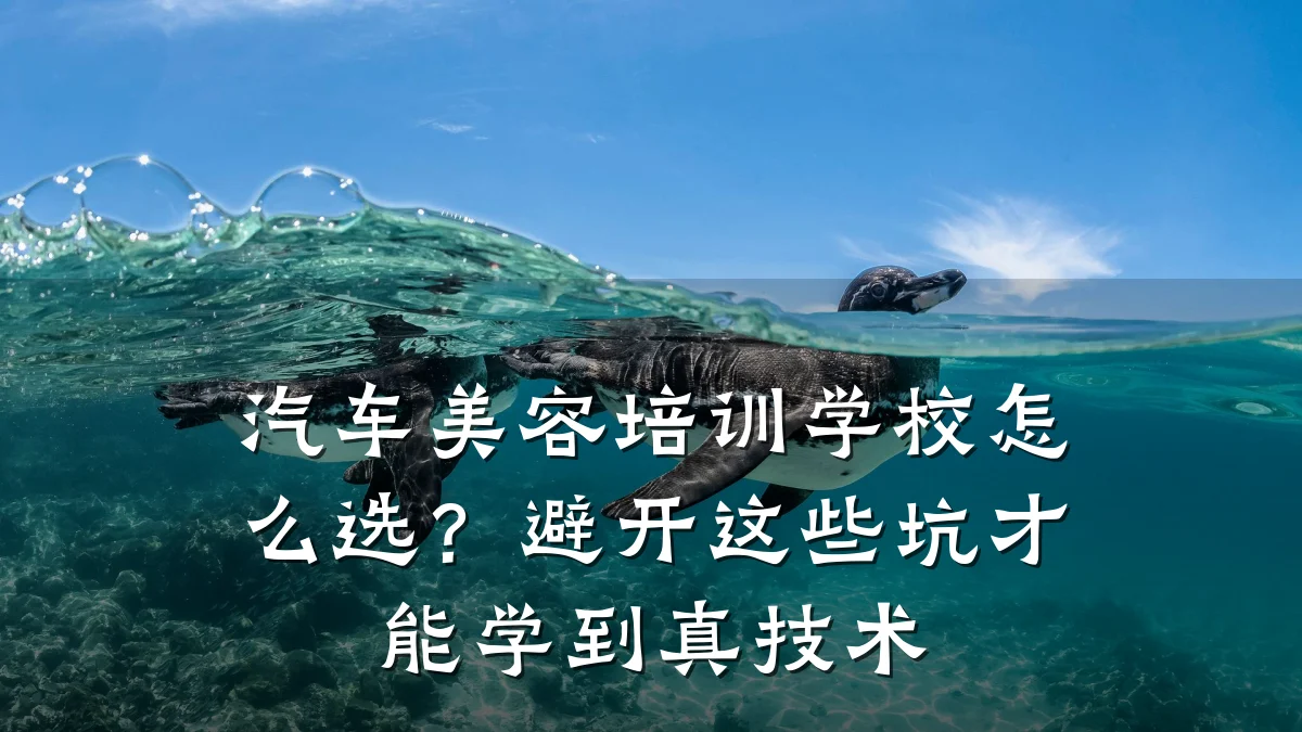 汽车美容培训学校怎么选?避开这些坑才能学到真技术
