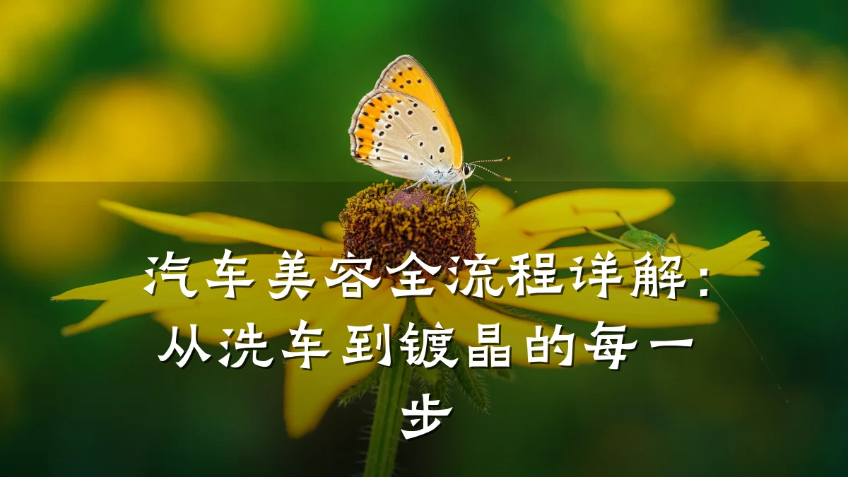 汽车美容全流程详解：从洗车到镀晶的每一步