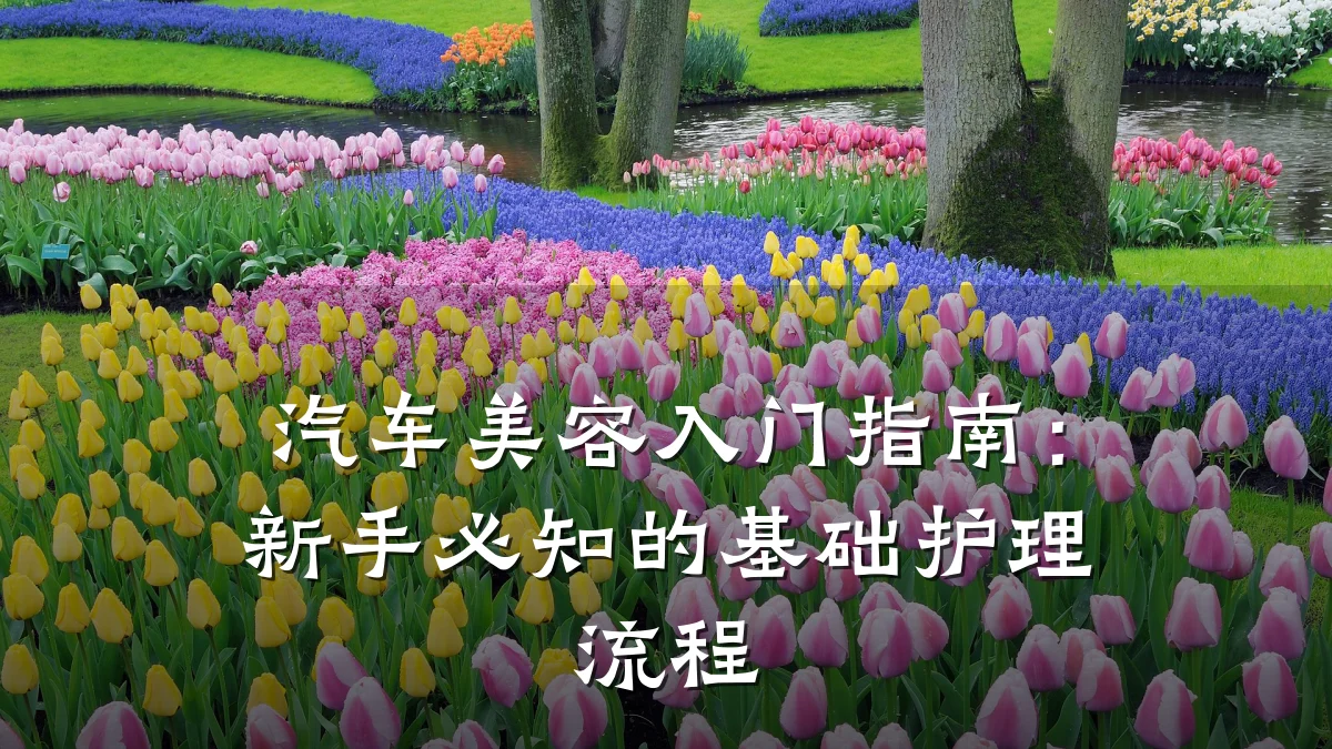 汽车美容入门指南：新手必知的基础护理流程