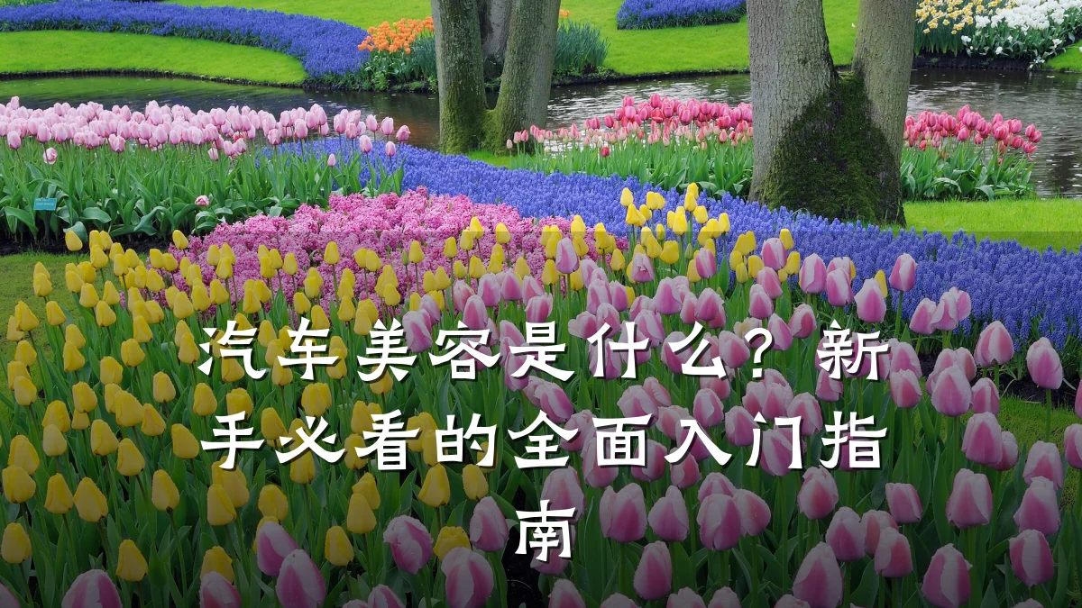 汽车美容是什么？新手必看的全面入门指南