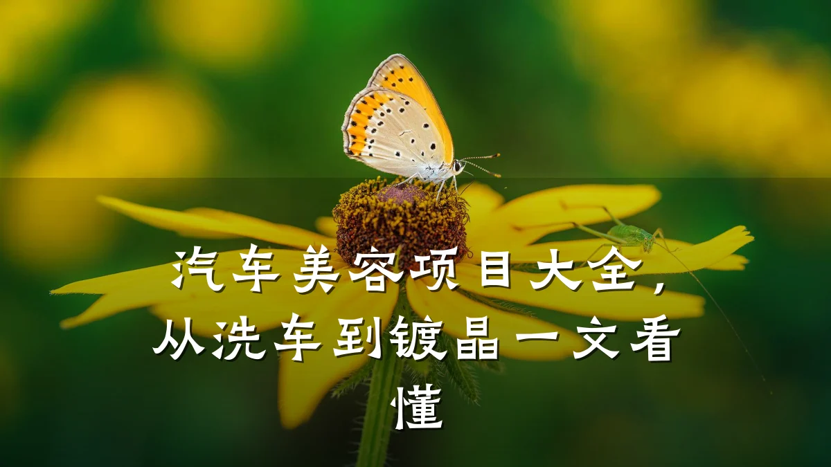 汽车美容项目大全,从洗车到镀晶一文看懂