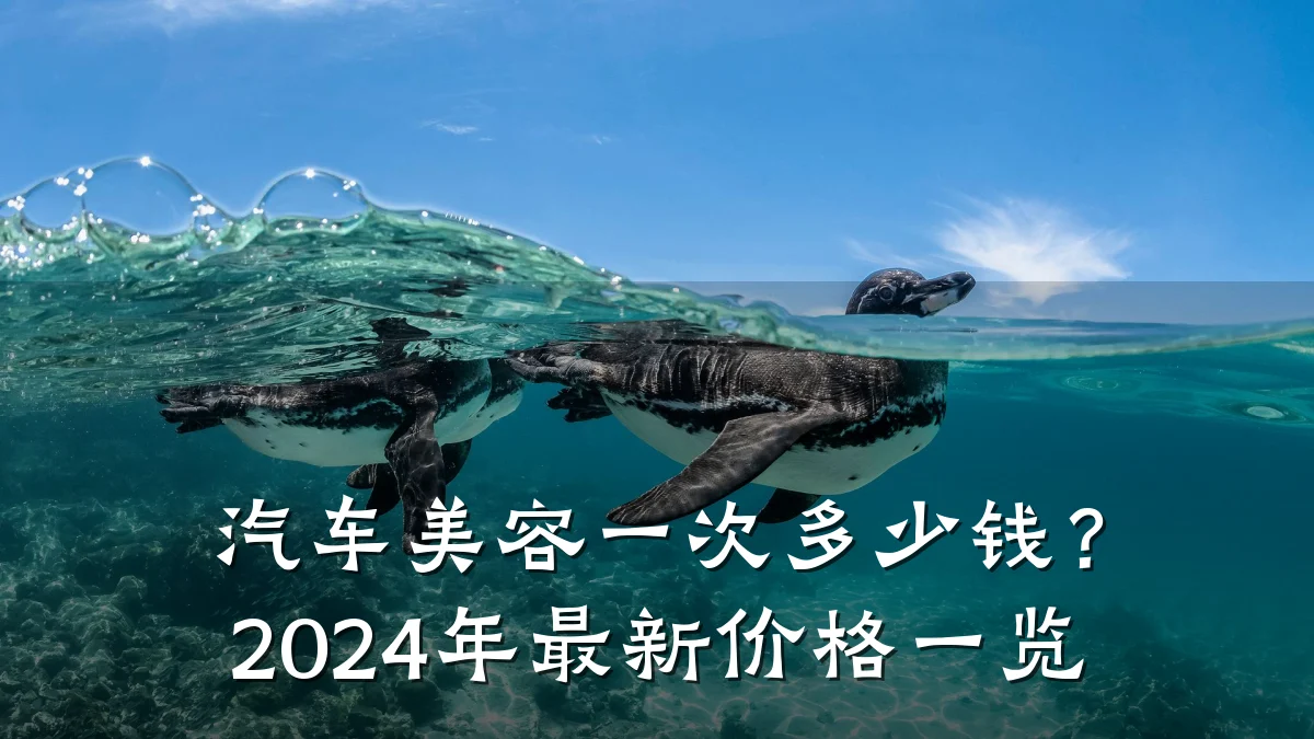 汽车美容一次多少钱？2024年最新价格一览
