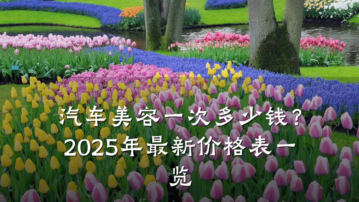 汽车美容一次多少钱?2025年最新价格表一览