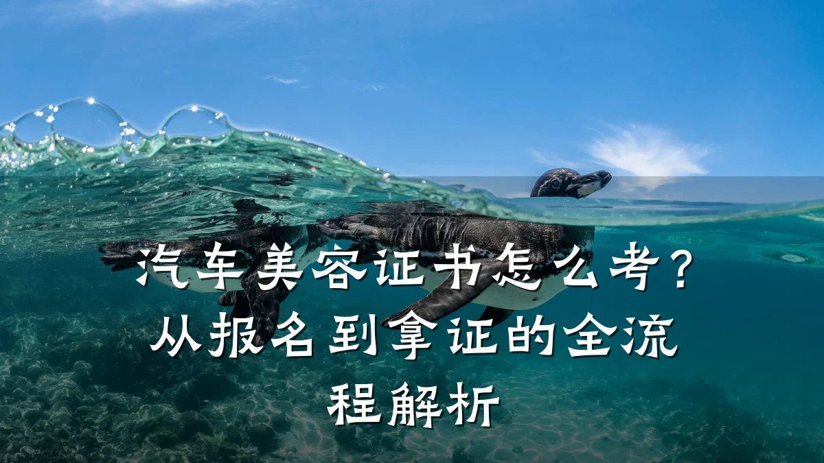 汽车美容证书怎么考？从报名到拿证的全流程解析