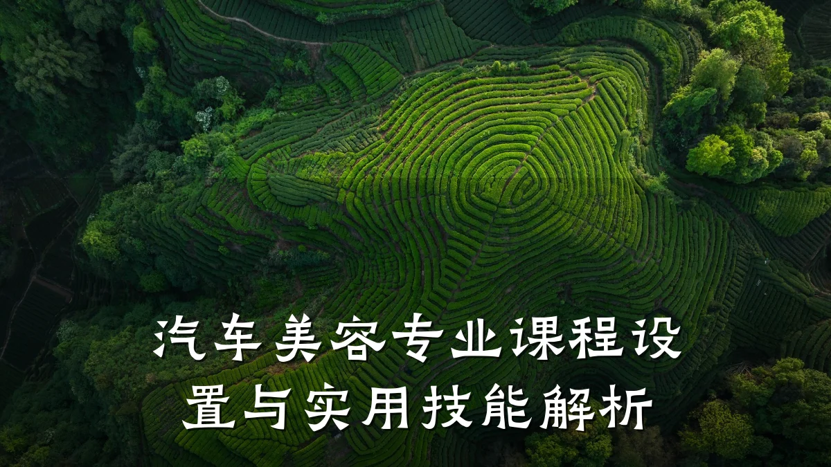 汽车美容专业课程设置与实用技能解析