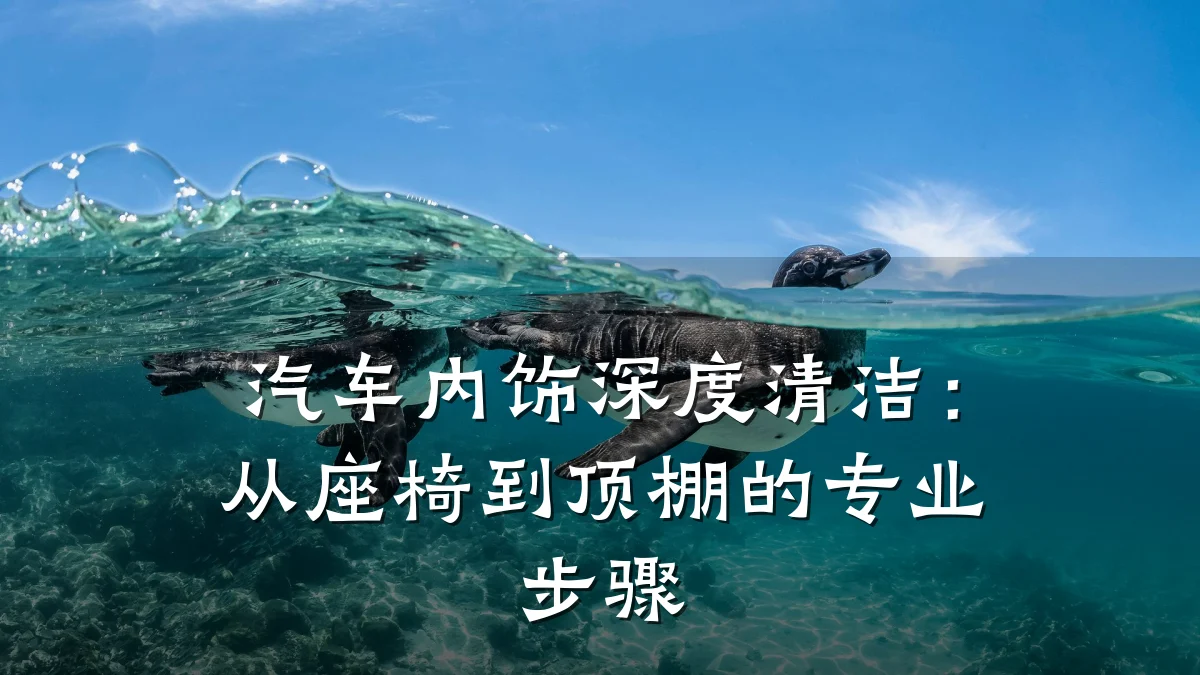 汽车内饰深度清洁：从座椅到顶棚的专业步骤