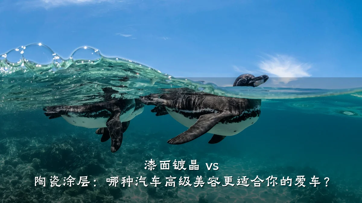 漆面镀晶 vs 陶瓷涂层：哪种汽车高级美容更适合你的爱车？