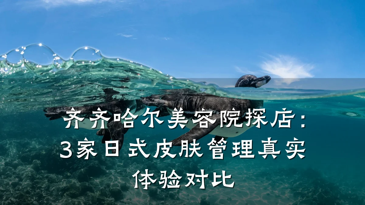 齐齐哈尔美容院探店：3家日式皮肤管理真实体验对比