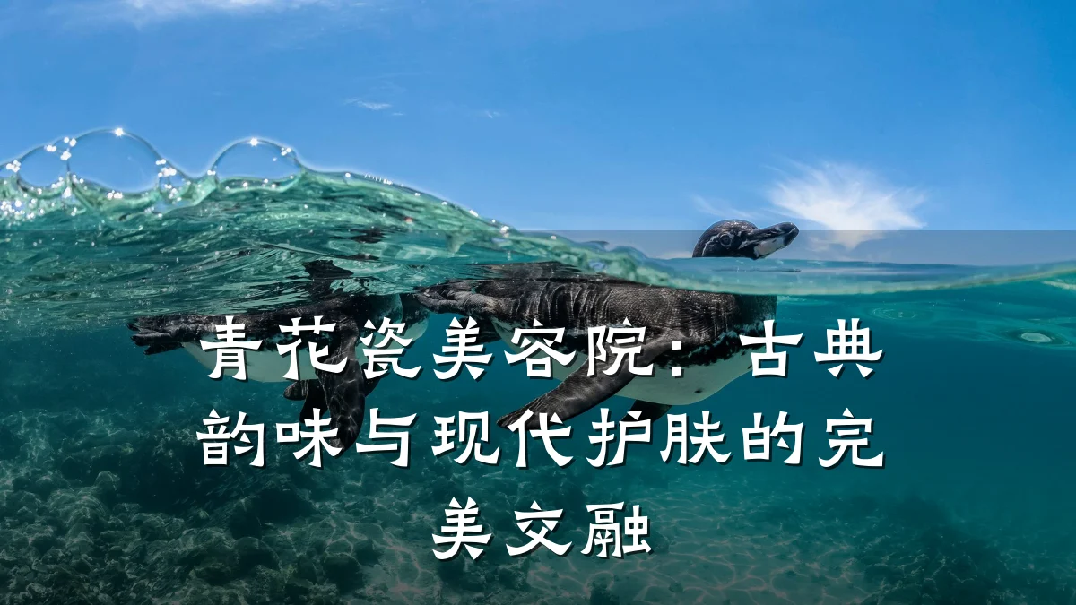 青花瓷美容院：古典韵味与现代护肤的完美交融