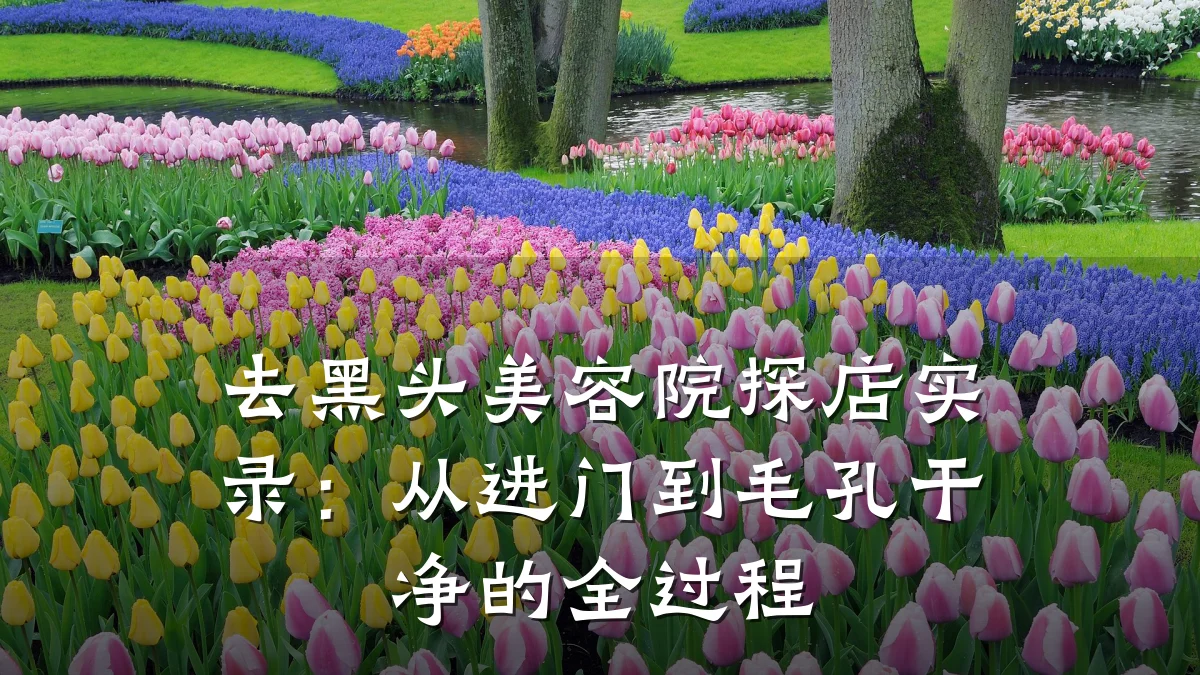去黑头美容院探店实录：从进门到毛孔干净的全过程
