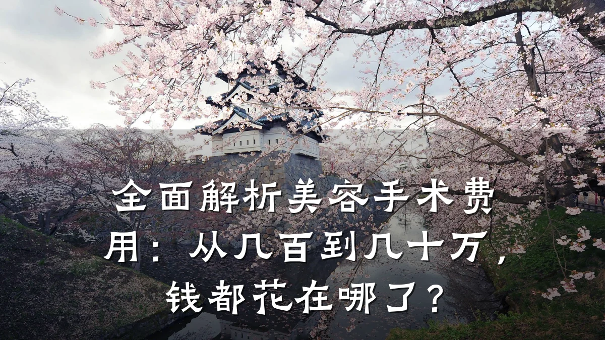 全面解析美容手术费用:从几百到几十万,钱都花在哪了?