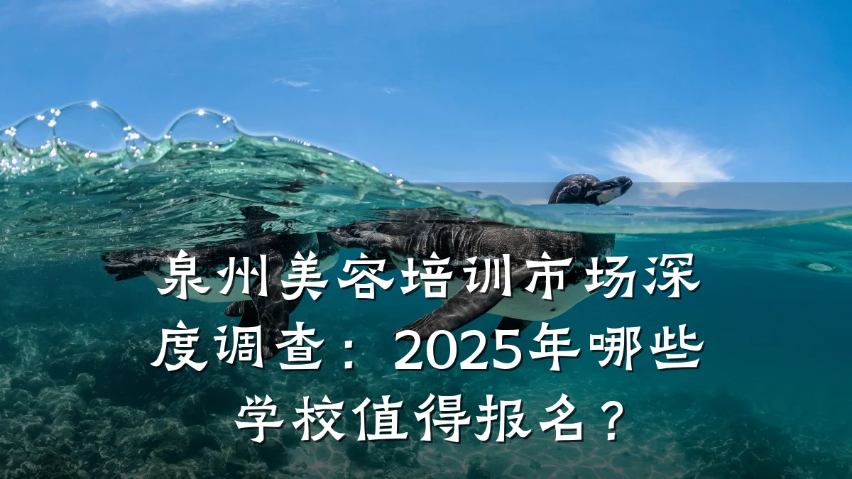 泉州美容培训市场深度调查：2025年哪些学校值得报名？