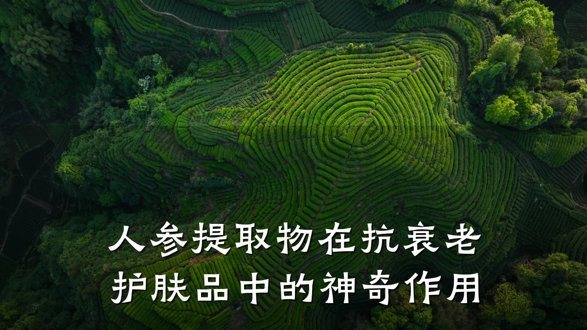 人参提取物在抗衰老护肤品中的神奇作用