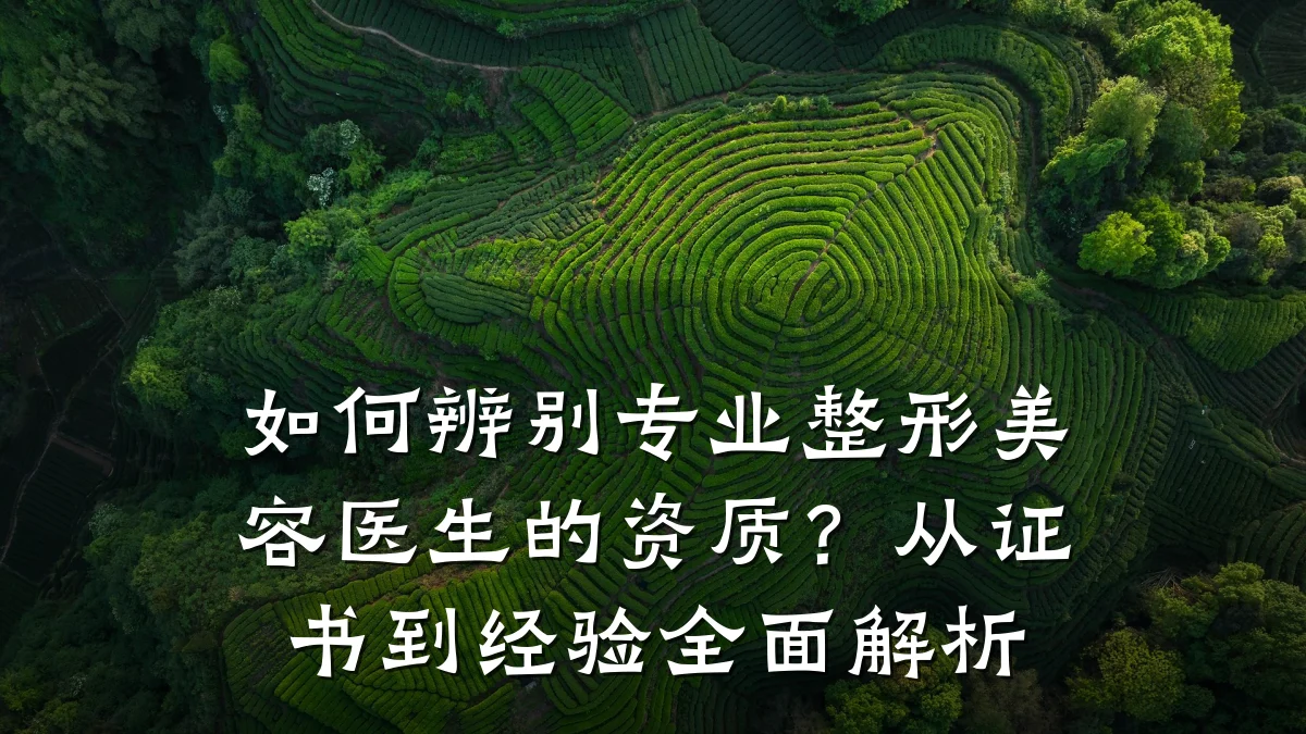 如何辨别专业整形美容医生的资质？从证书到经验全面解析