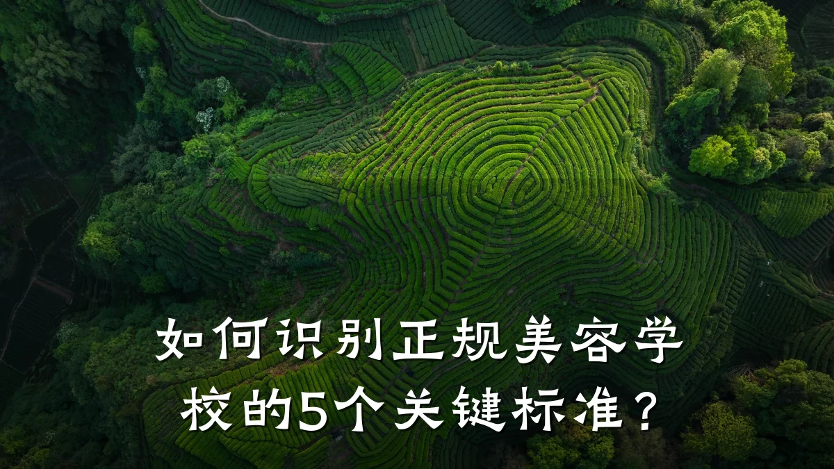 如何识别正规美容学校的5个关键标准?