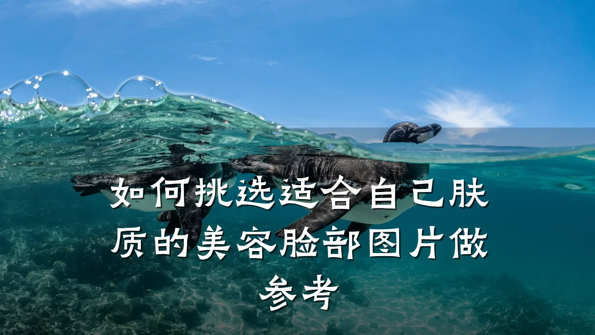 如何挑选适合自己肤质的美容脸部图片做参考