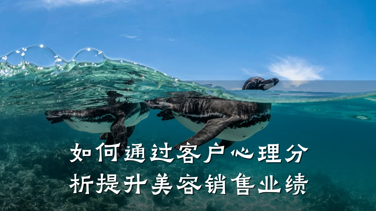 如何通过客户心理分析提升美容销售业绩