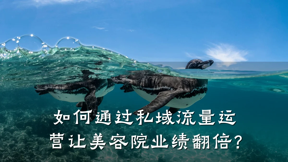 如何通过私域流量运营让美容院业绩翻倍？