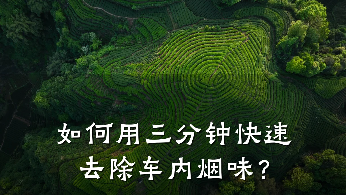 如何用三分钟快速去除车内烟味？
