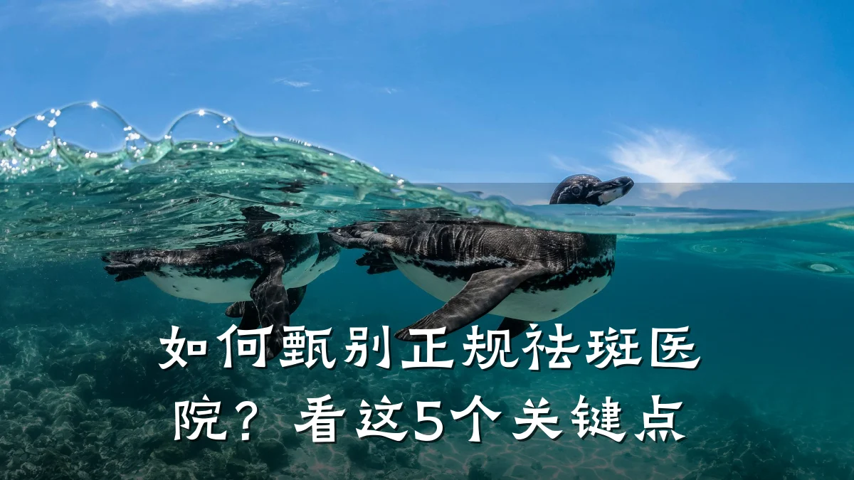 如何甄别正规祛斑医院?看这5个关键点