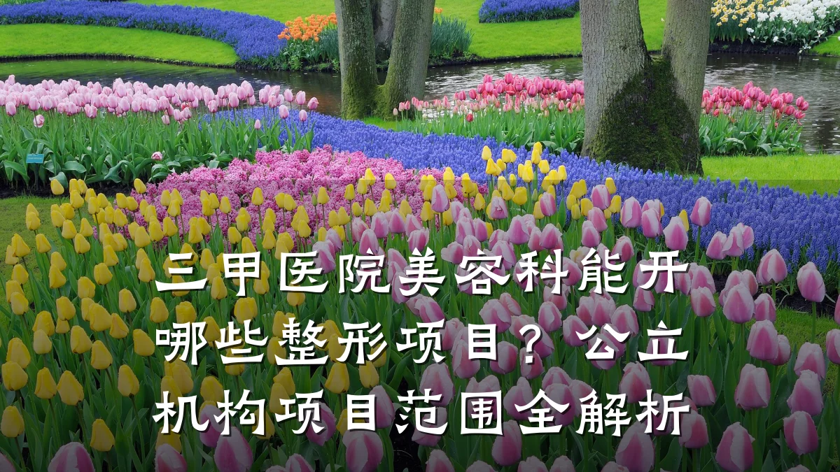三甲医院美容科能开哪些整形项目?公立机构项目范围全解析