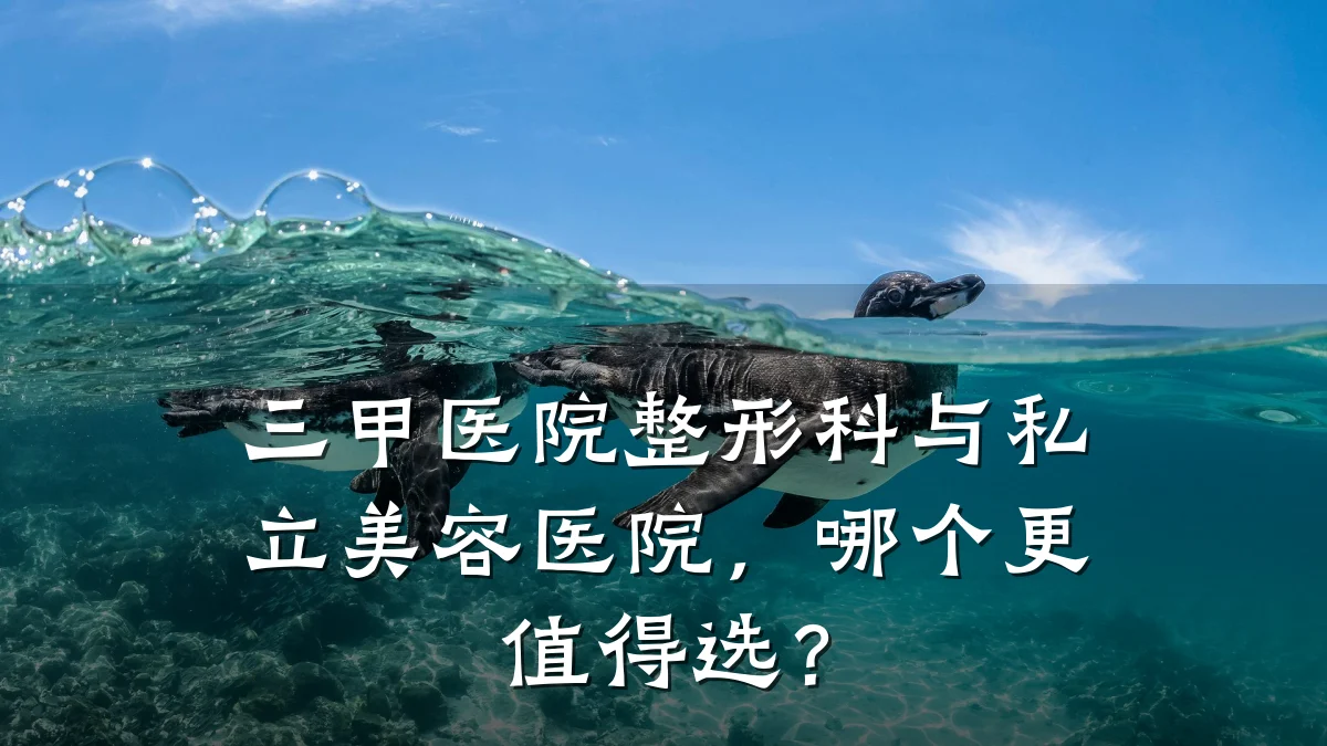 三甲医院整形科与私立美容医院，哪个更值得选？