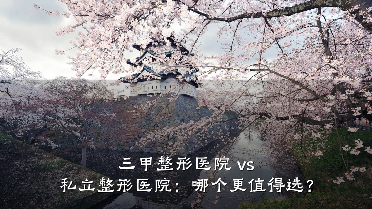 三甲整形医院 vs 私立整形医院：哪个更值得选？