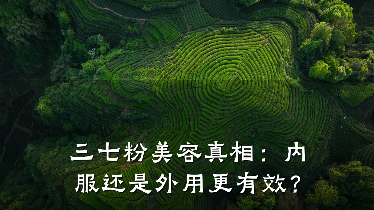 三七粉美容真相：内服还是外用更有效？