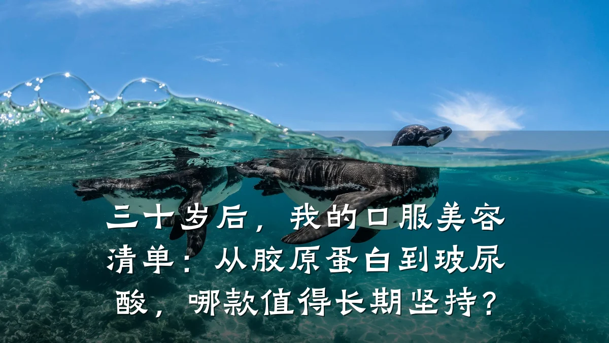 三十岁后,我的口服美容清单:从胶原蛋白到玻尿酸,哪款值得长期坚持?