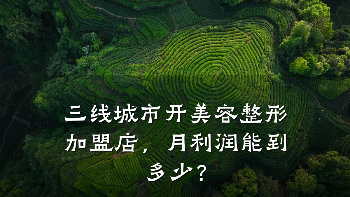 三线城市开美容整形加盟店，月利润能到多少？