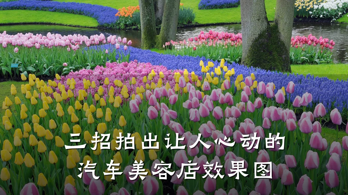 三招拍出让人心动的汽车美容店效果图