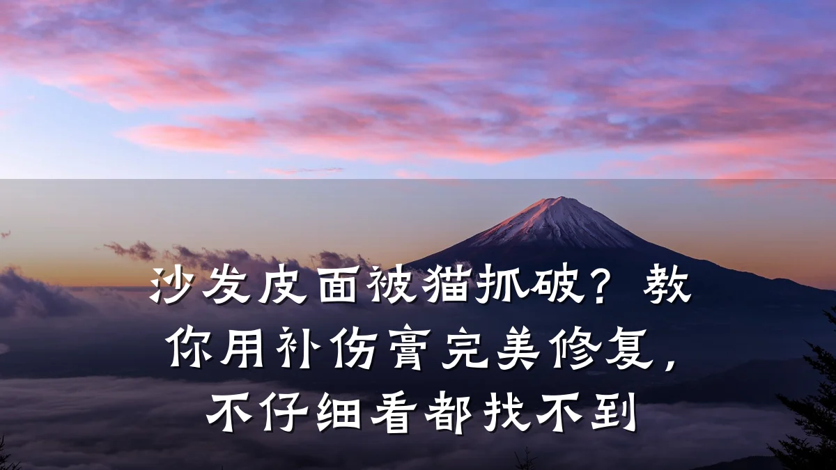 沙发皮面被猫抓破?教你用补伤膏完美修复,不仔细看都找不到