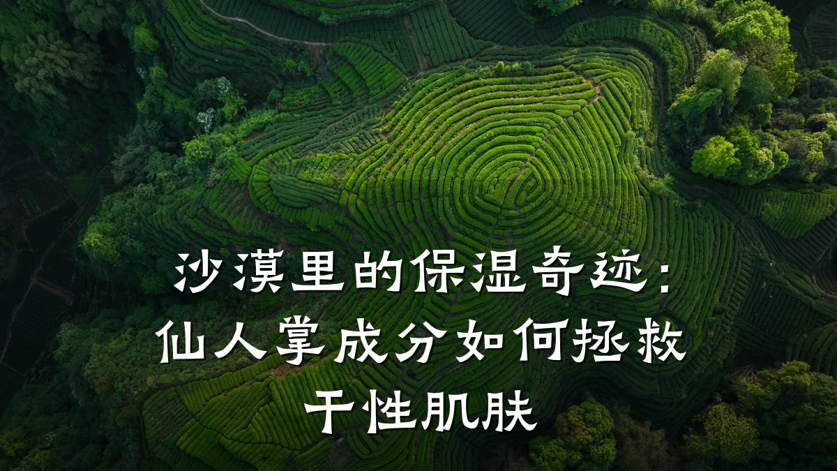 沙漠里的保湿奇迹：仙人掌成分如何拯救干性肌肤