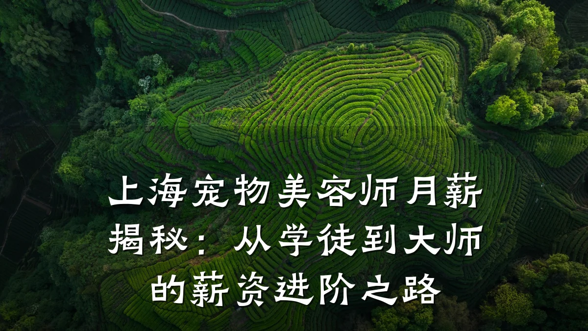 上海宠物美容师月薪揭秘：从学徒到大师的薪资进阶之路