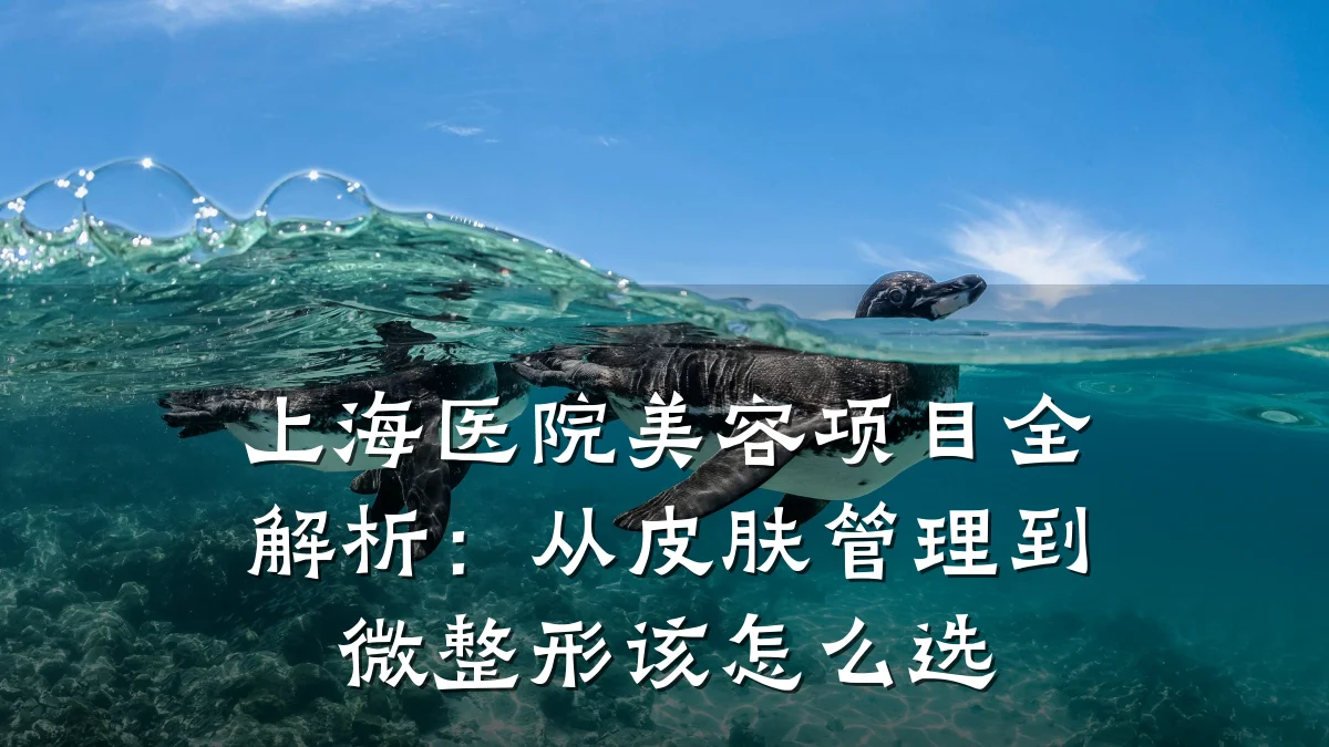 上海医院美容项目全解析:从皮肤管理到微整形该怎么选