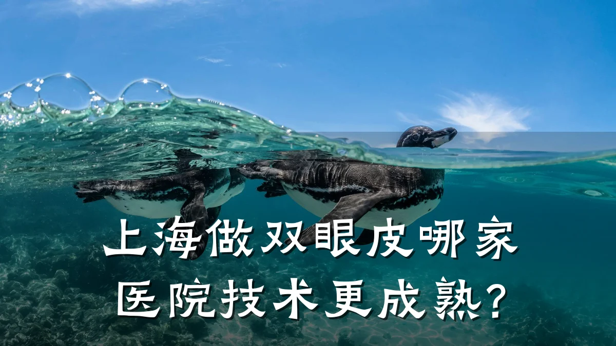上海做双眼皮哪家医院技术更成熟？