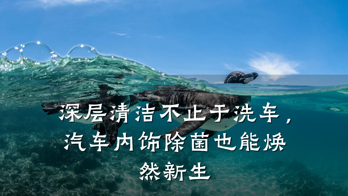 深层清洁不止于洗车，汽车内饰除菌也能焕然新生