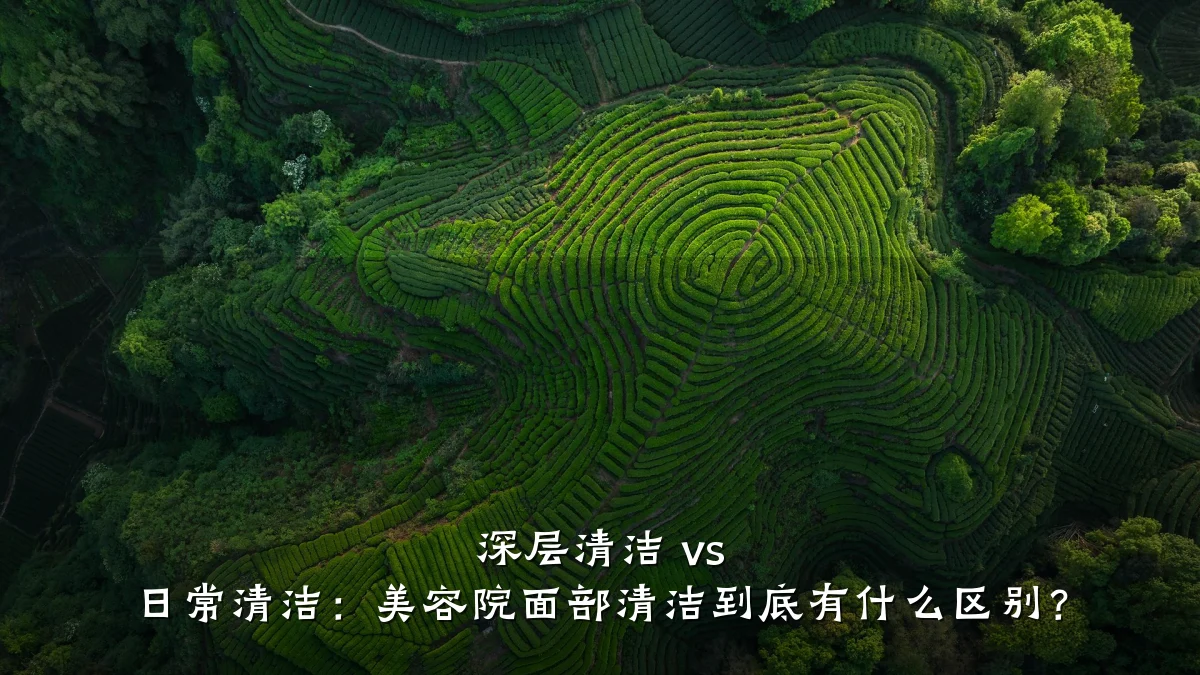 深层清洁 vs 日常清洁：美容院面部清洁到底有什么区别？