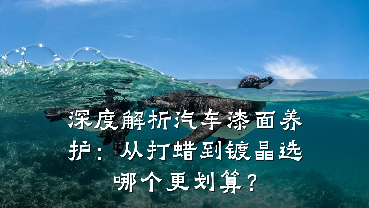 深度解析汽车漆面养护:从打蜡到镀晶选哪个更划算?