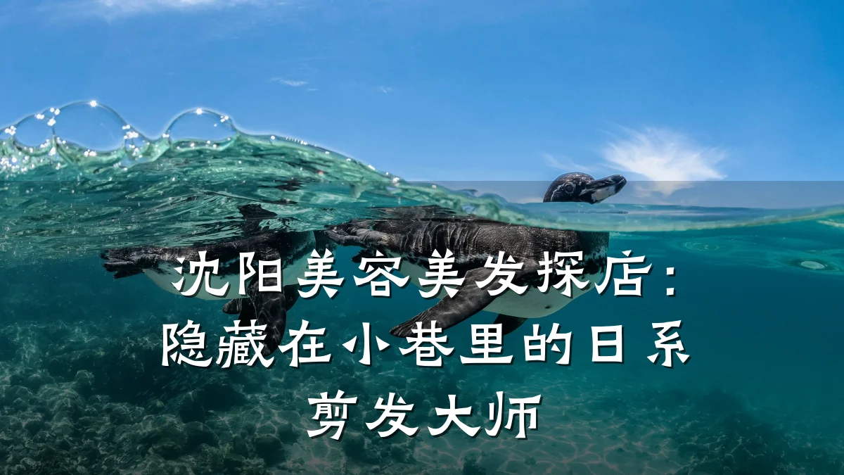 沈阳美容美发探店：隐藏在小巷里的日系剪发大师