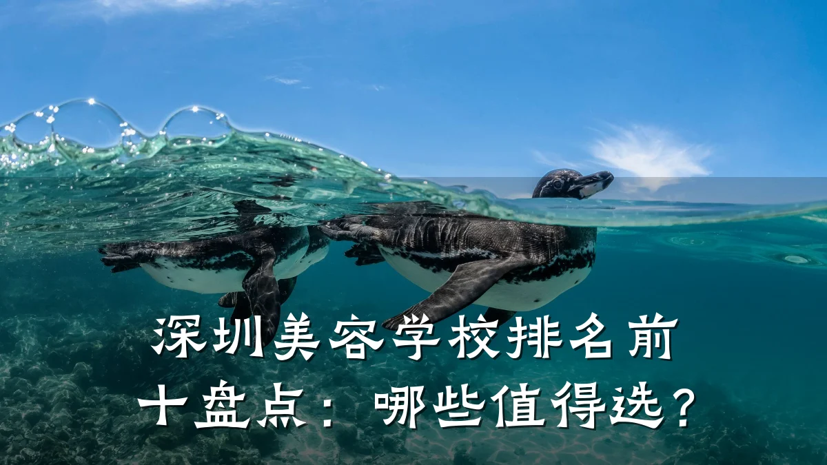 深圳美容学校排名前十盘点:哪些值得选?